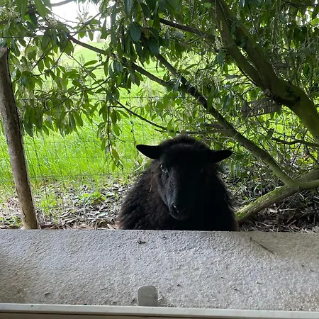 別荘 De Courdoux Sargé Les Le Mans
