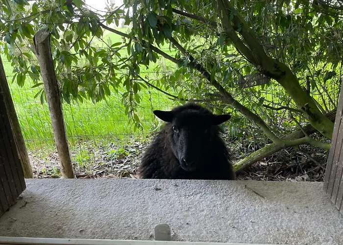 Feriehus De Courdoux Sargé Les Le Mans